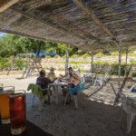 La terrasse du bar